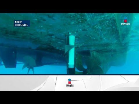 Cancelan cruceros de Cozumel y Playa del Carmen por noticia falsa | Noticias con Ciro Gómez Leyva