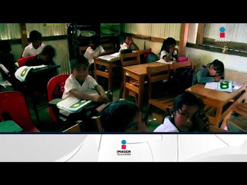 SEP entregará libros de texto en 22 lenguas indígenas | Noticias con Francisco Zea