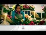 Producción de rosas garantiza abasto en día de San Valentín | Noticias con Francisco Zea