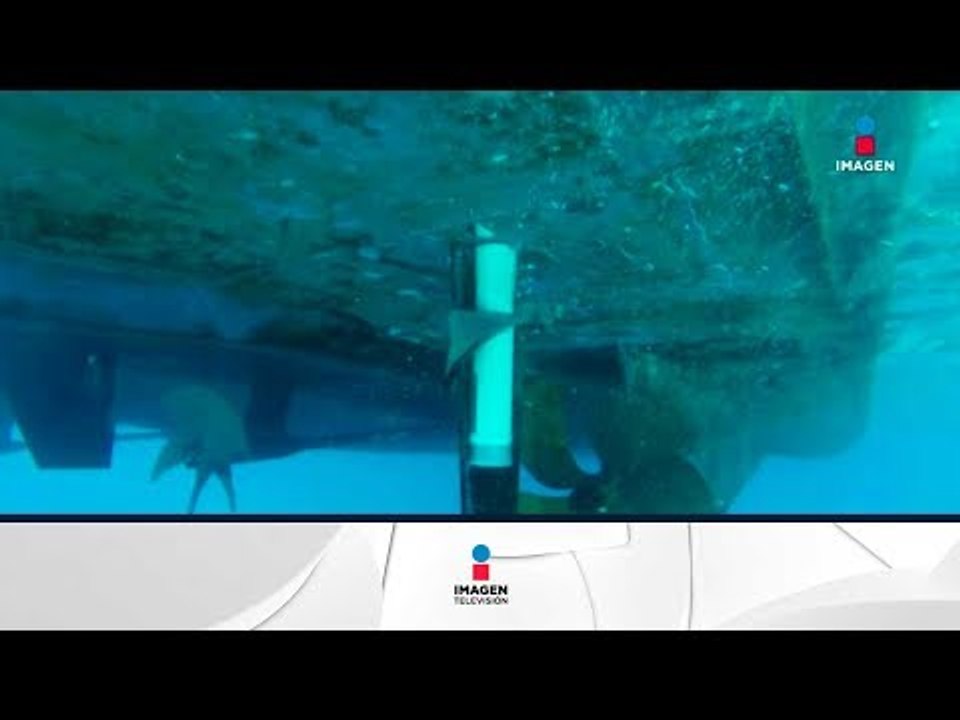 Fake news, embajada de Estados Unidos en México se cree amenaza de bomba | Noticias con Ciro