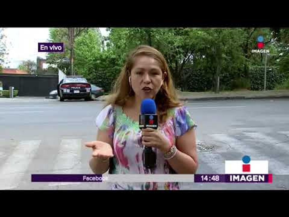 ¡Tienes que ver la cuenta de Twitter del mono capuchino! | Noticias con Yuriria Sierra