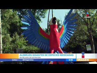 Alebrijes monumentales de especies mexicanas en riesgo en Chapultepec | Noticias con Francisco Zea