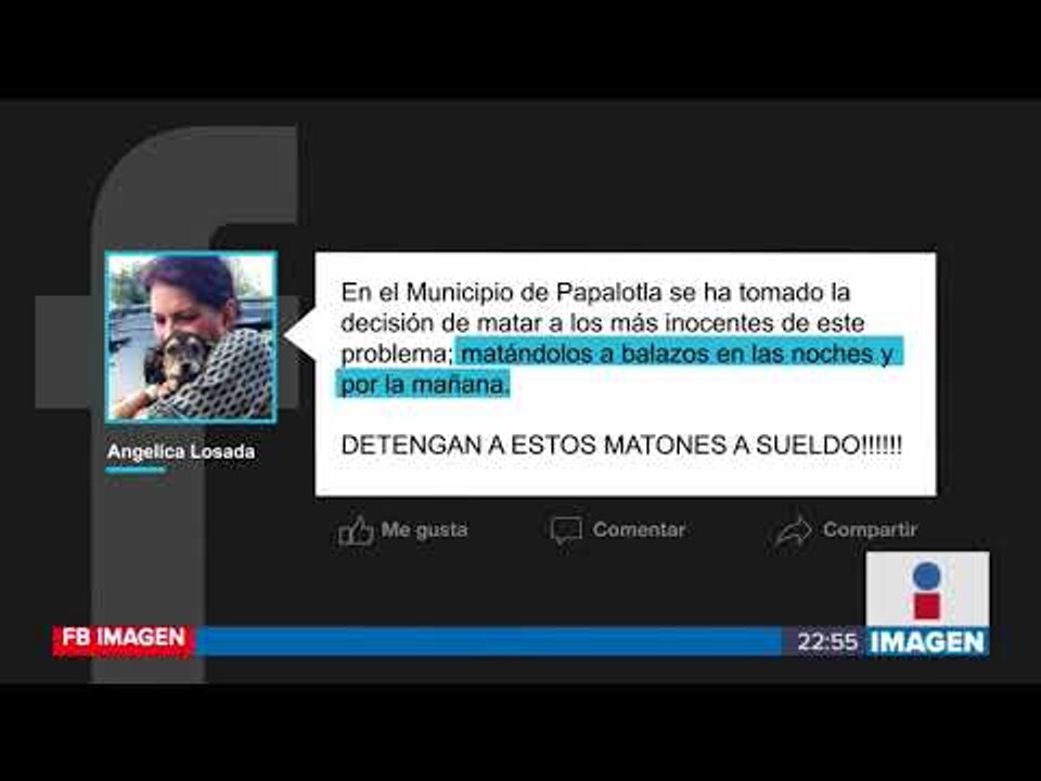 Denuncian muerte de perros callejeros | Noticias con Ciro Gómez Leyva