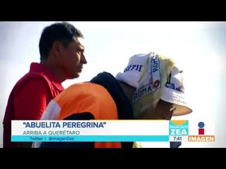 Скачать видео: Abuelita peregrina recorre México para llegar a la Basílica de Guadalupe | Noticias con Paco Zea