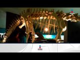 ¡Renuevan Museo de Historia Natural del Bosque de Chapultepec! | Noticias con Francisco Zea