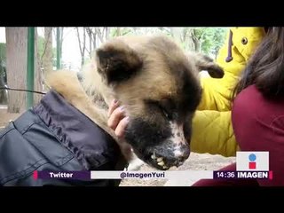 Chilaquil necesita de toda la ayuda, está muriendo | Noticias con Yuriria Sierra