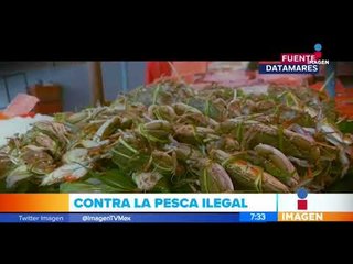 Resultados de búsqueda Fishtown, app para una pesca sustentable | Noticias con Francisco Zea