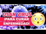 ¡Usan virus para curar otra enfermedad! | Noticias con Francisco Zea