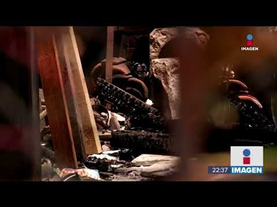 Esta era la casa de la académica de la UNAM que fue apuñalada, asfixiada y quemada