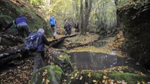 SAB.04-11-17- ESCURSIONE NELLA SELVA OSCURA DA SANT' EUTIZIO VICINO SORIANO DEL CIMINO NEL LAZIO IN PROV.DI VITERBO.