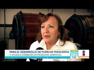 Zapatos con piel de pescado... ¿la nueva moda? | Noticias con Francisco Zea