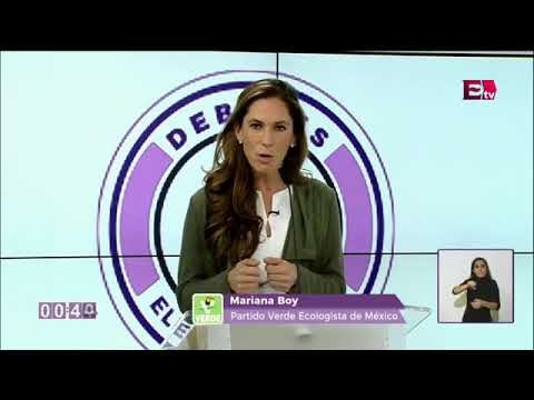 Mariana Boy explica cómo funcionarían las cámaras de seguridad
