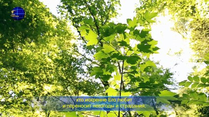 Восточная Молния | Евангелие дня «Только усовершенствованные Богом люди могут жить осмысленной жизнью»