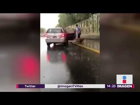 ¡Arrastra a perro desde el coche y conductor intenta detenerlo! | Noticias con Yuriria Sierra