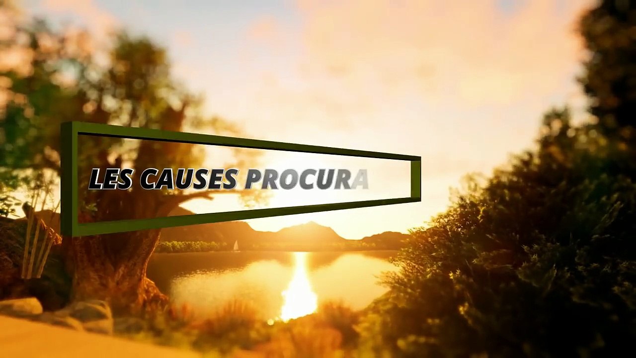 les causes permettant la guidée