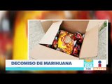 SEMAR asegura más 500 kg de marihuana en Veracruz | Noticias con Francisco Zea