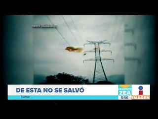 Joven se electrocuta con cable de alta tensión | Noticias con Francisco Zea