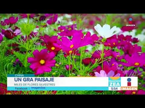 Paisajes impresionantes en China | Noticias con Francisco Zea