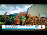 Universitarios buscan elaborar biocombustible con residuos de agave | Noticias con Francisco Zea