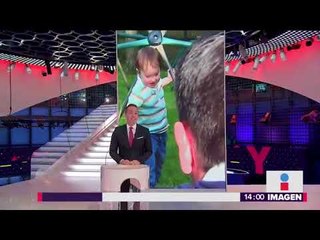 Paciente recibe riñón creado por tecnología 3D | Noticias con Yuriria Sierra