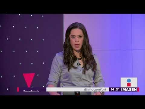 Fallece gorila que aprendió a hacer lenguaje de señas | Noticias con Yuriria Sierra