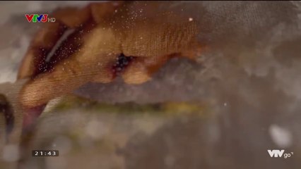 Cả Một Đời Ân Oán Tập 1 Ca Mot Doi An Oan Tap 1