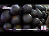 Kilo de aguacate ¡llega a 70 pesos! | Noticias con Yuriria Sierra