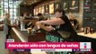 Starbucks abrirá su primera sucursal donde solo se hablará con lenguaje de señas | Yuriria Sierra