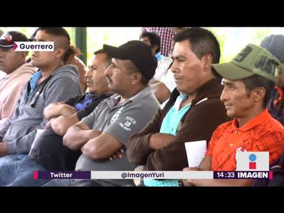 ¿Cuáles son los riesgos de cultivar amapola en México? | Noticias con Yuriria Sierra