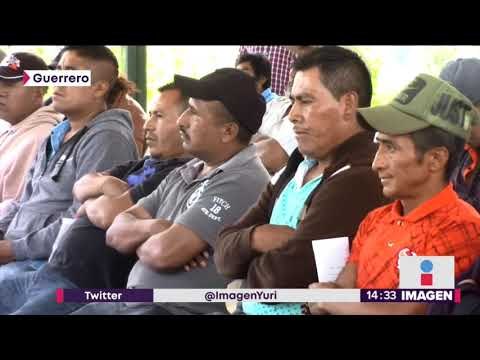 ¿Cuáles son los riesgos de cultivar amapola en México? | Noticias con Yuriria Sierra