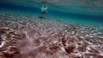 전국꽃배달서비스 59꽃배달 기념일 챙기세요! 주문전화 (1833 - 5900)