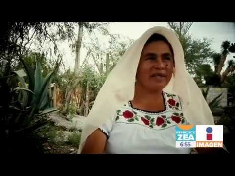 Maravillosas artesanías en Hidalgo con fibra de maguey | Noticias con Francisco Zea