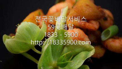 꽃배달당일배송 59꽃배달 ☎(1833 - 5900) 정말 빨라요