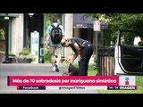 ¡70 casos de sobredosis por consumir mariguana sintética! | Noticias con Yuriria Sierra