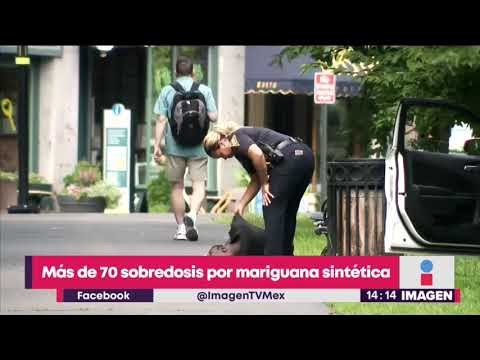 ¡70 casos de sobredosis por consumir mariguana sintética! | Noticias con Yuriria Sierra