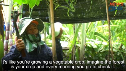 Truth About Thai Wildlife Rangers