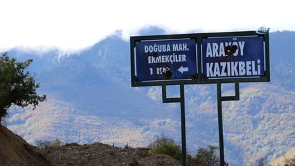 Bu Köy Buram Buram Ekmek Kokuyor