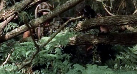 BeastMaster S01 - Ep22 Revelations HD Watch