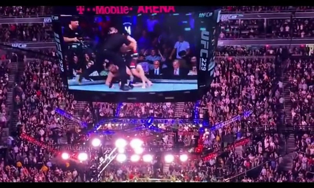 Conor McGregor vs Khabib Team Brawl After UFC 229