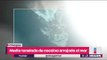 Arrojan tonelada de cocaína al mar desde una lancha | Noticias con Yuriria Sierra