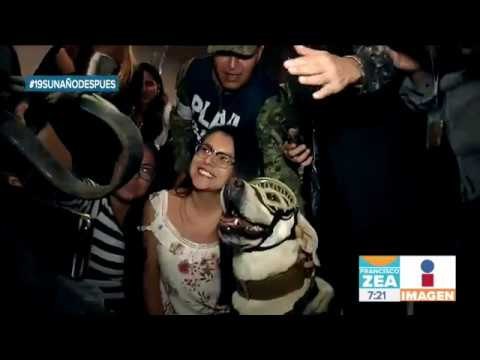 Frida, la perrita que se ganó el corazón de los mexicanos | Noticias con Francisco Zea