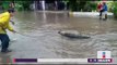 ¡Dos cocodrilos sueltos en las calles por inundación! | Noticias con Yuriria Sierra