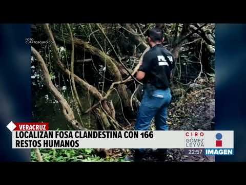 Encuentran restos de al menos 166 personas en fosa clandestina en Veracruz | Noticias con Ciro