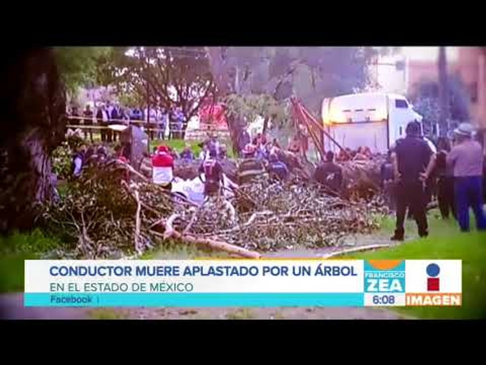 Cae árbol y mata a cuatro personas en Naucalpan | Noticias con Francisco Zea