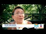 La temperatura en Yucatán alcanza los 50 grados centígrados | Noticias con Francisco Zea