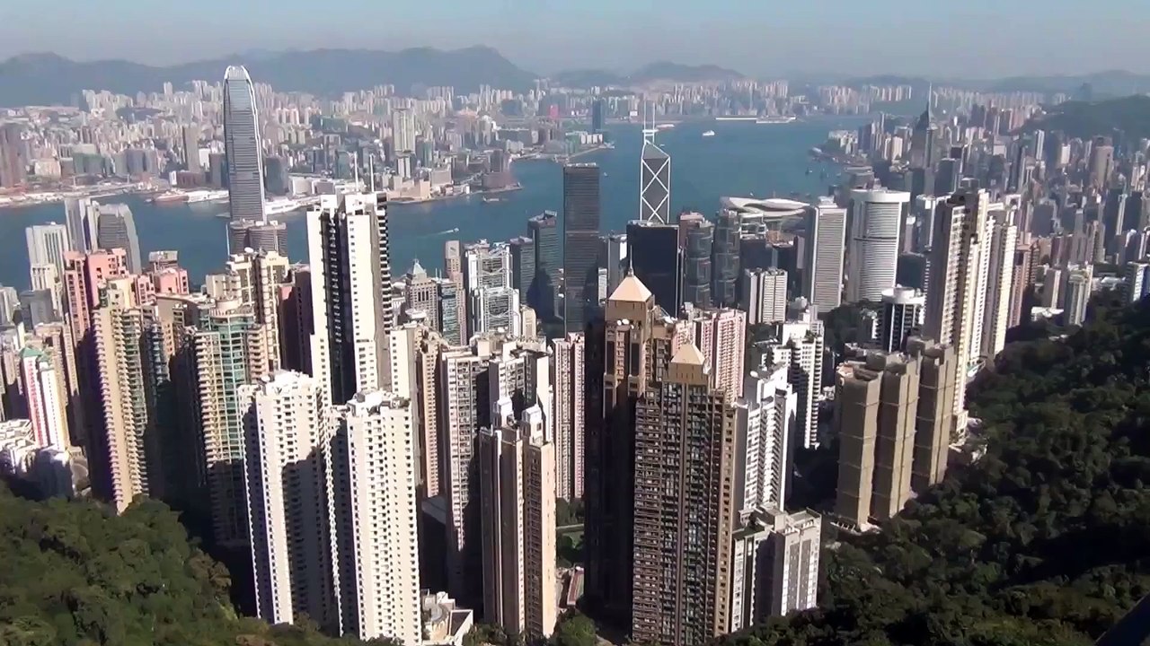 정기꽃배달 꽃배달싼곳 꽃집추천 59꽃배달 (1833-5900)