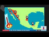 Cuántas personas han muerto por el calor en México hasta ahora | Noticias con Ciro