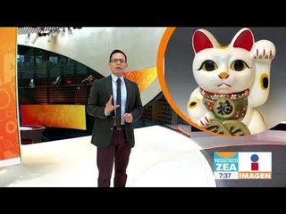 ¡Feliz Día Internacional del Gato! | Noticias con Francisco Zea