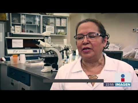 Siete de cada 10 niños podrían tener altos niveles de plomo por derrame del Río Sonora