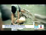 ¡Niños salvan a su perro de ser devorado por serpiente! | Noticias con Francisco Zea